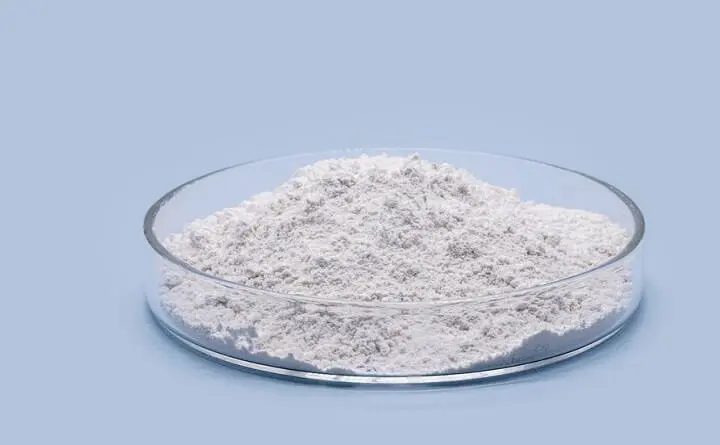 Polyanionic Cellulose